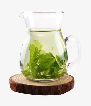 养生桑叶茶免抠