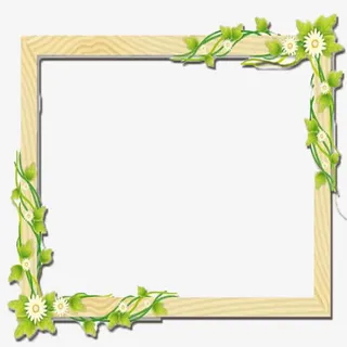 木纹小雏菊边框免抠
