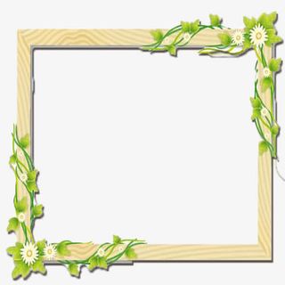 木纹小雏菊边框免抠