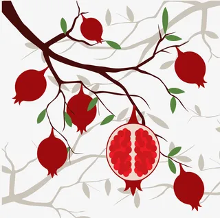 树枝上的石榴免抠