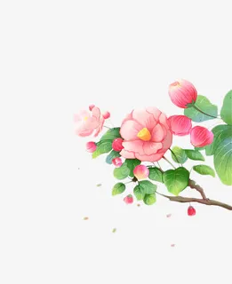 古风树枝花朵免抠