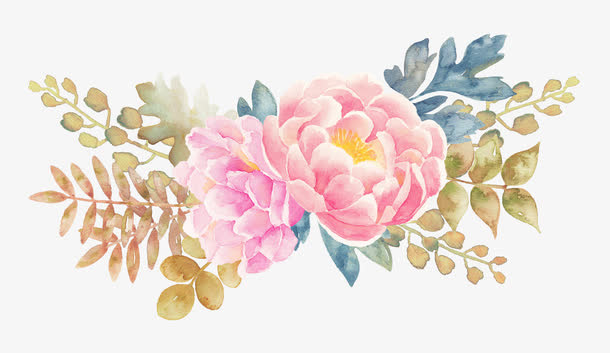 牡丹花手绘水彩花卉元素免抠