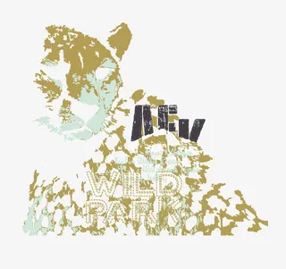 老虎碎片素材免抠