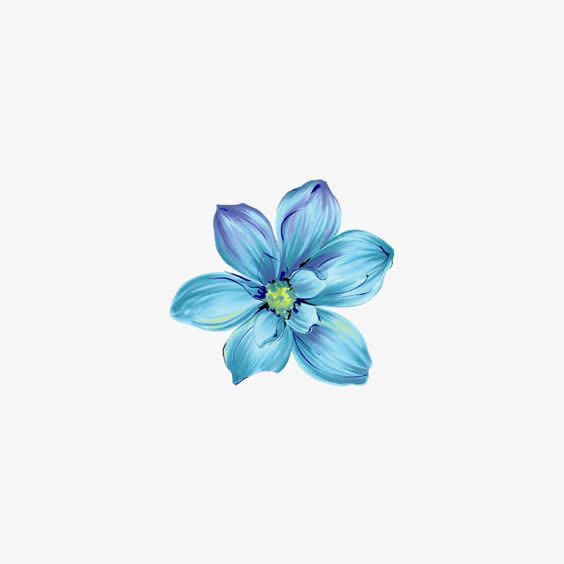 蓝色花朵免抠