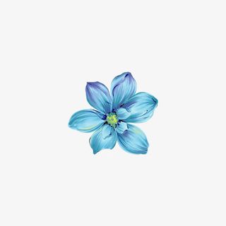 蓝色花朵免抠