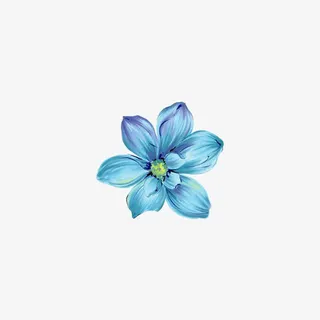 蓝色花朵免抠