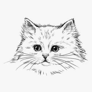 矢量小苗线稿素材免抠