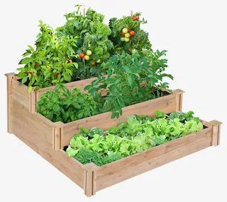 抽屉理的森林免抠