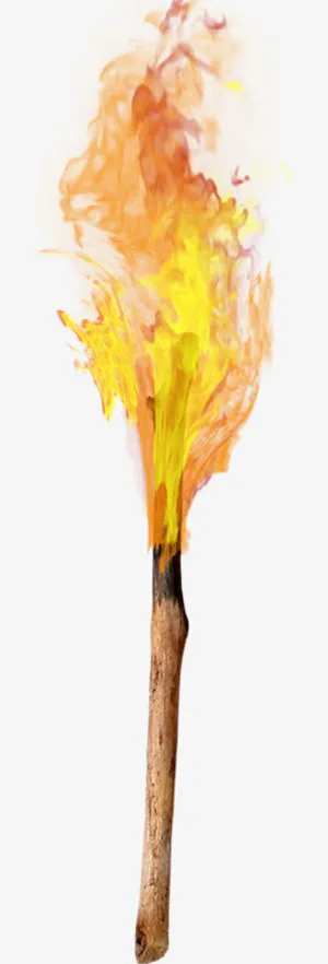 烧的热烈的火把免抠