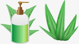 芦荟身体乳免抠