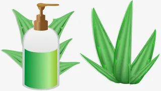 芦荟身体乳免抠