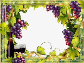 葡萄和葡萄酒装饰免抠