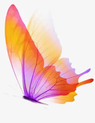 炫彩时尚手绘春天蝴蝶免抠装饰动物元素