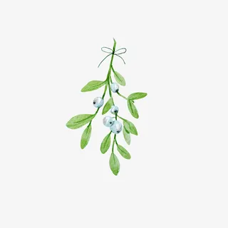 文艺清新花草海报设计装饰免抠