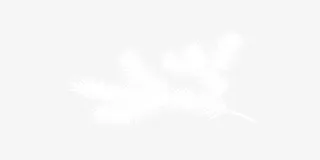 白色松树圣诞简约装饰免抠