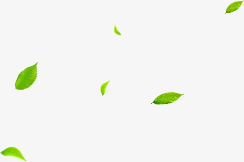 漂浮春天树叶美景装饰免抠漂浮叶子元素 漂浮春天树叶美景装饰免抠漂浮叶子元素