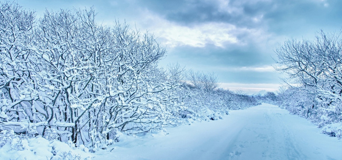 雪地高清
