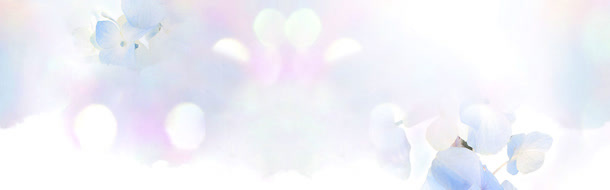 梦幻花朵淘宝广告banner