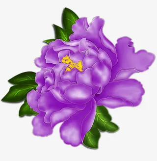 紫色绿叶牡丹花免抠