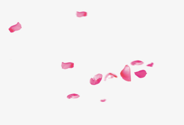 情人节玫瑰花瓣漂浮免抠