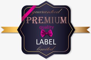 精美丝带礼带标题边框免抠