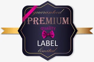 精美丝带礼带标题边框免抠