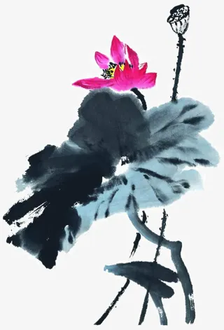 水墨荷花免抠