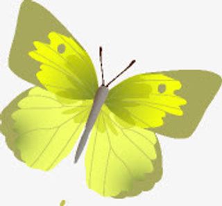 黄色纹理春天蝴蝶免抠装饰动物元素