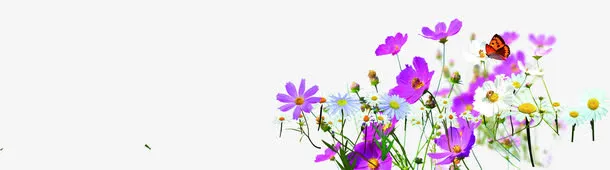 紫色小碎花春天素材图片免抠
