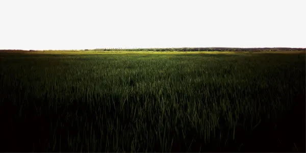 青青河边草免抠