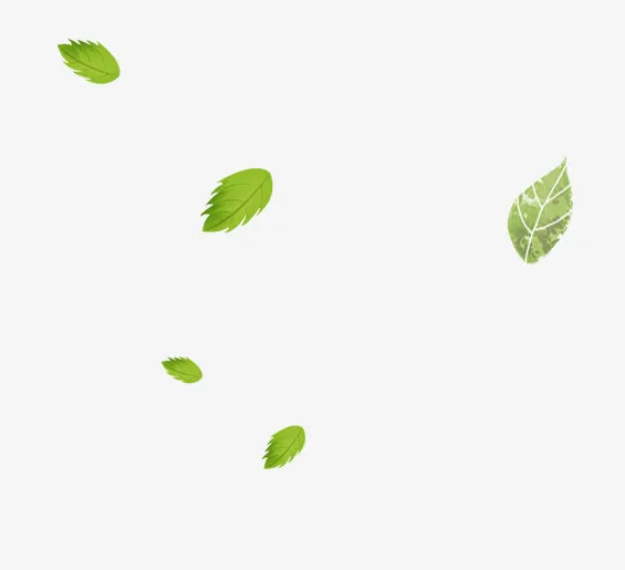 春天清新树叶免抠