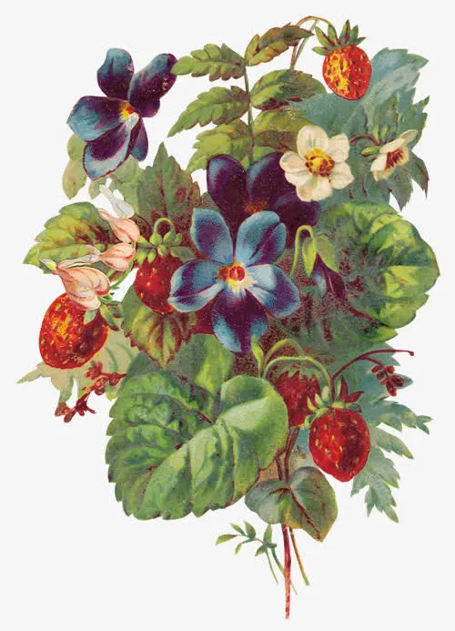 抽象鲜花鲜花元素免抠
