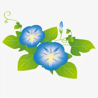 卡通手绘蓝色的牵牛花免抠