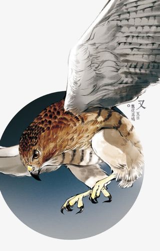 二十四节气之七十二候免抠