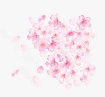 漂浮矢量桃花花瓣免抠