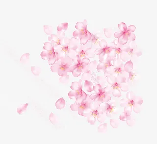 漂浮矢量桃花花瓣免抠