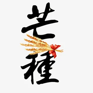 芒种艺术字免抠