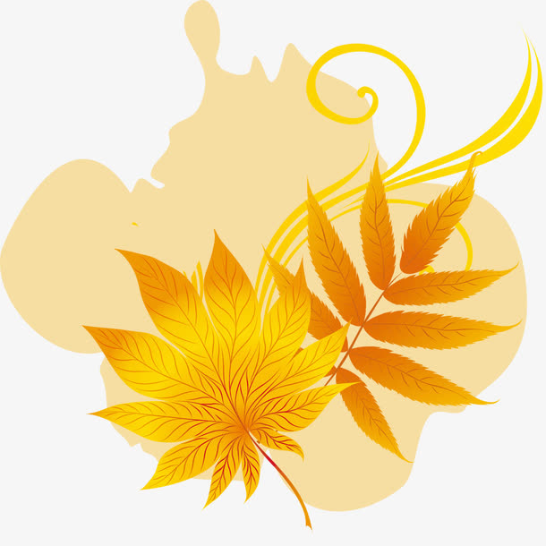 落叶免抠