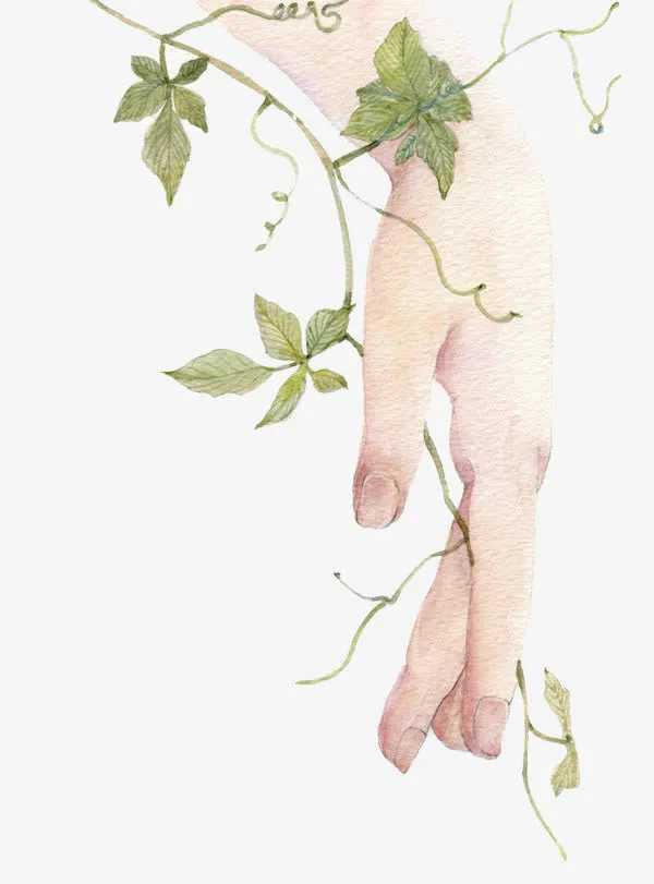 插画纤细的手免抠