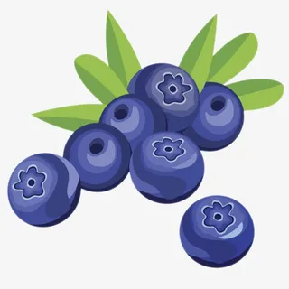 卡通手绘带叶子野生蓝莓免抠