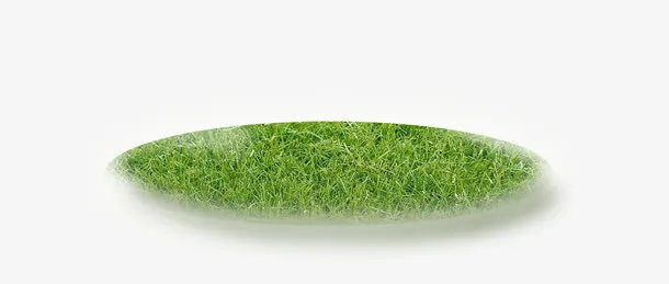 草免抠