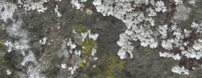 淘宝背景高清