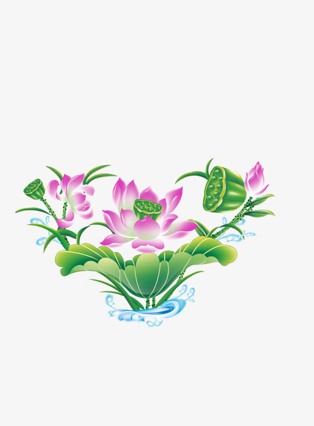 荷花免抠