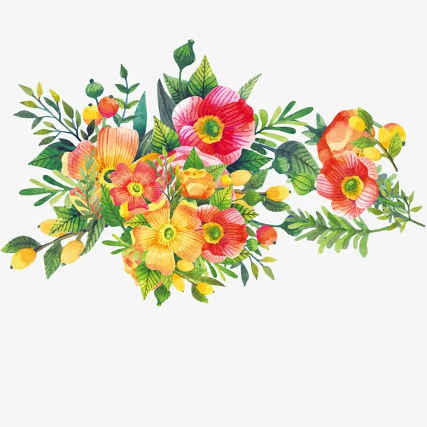 报春花 春天 暖色系 清新免抠