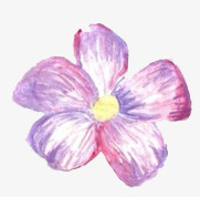 手绘花免抠