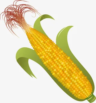 黄色玉米食材免抠