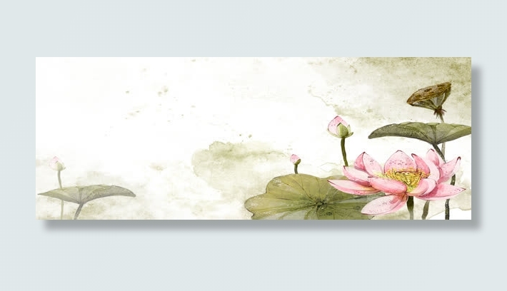 中国风荷花背景