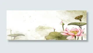 中国风荷花背景