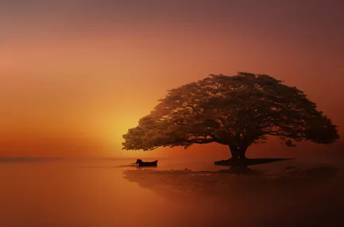 唯美浪漫红色大树免抠