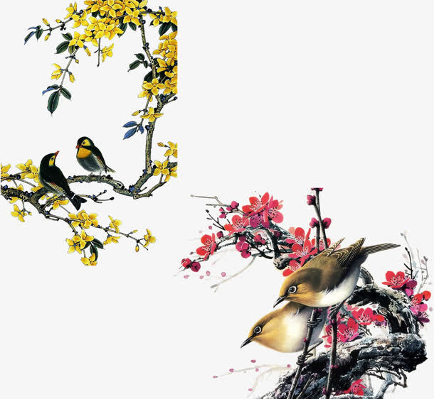 中国风花鸟素材免抠